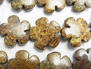 Bronzite Flower 20 x 20 mm half or 1 strand beads (aprx.15 inch / 36 cm)