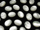 [Video] High Quality White Shell (Silver-lip Oyster)AAA Oval Cabochon 16x12mm 2pcs