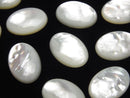 Mother of Pearl (Shell Beads) Pearl & Shell Beads