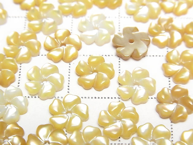 [Video] High-quality Yellow Shell AAA Flower 8mm Center Hole 4pcs