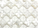 [Video] High-quality White Shell (Silver-lip Oyster) Clover (Both Side Finish) 9x9x4mm 1/4 or 1-strand beads (approx. 15 inches/38 cm)