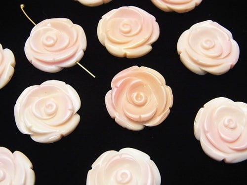 [Video] Queen Conch Shell AAA - Rose 20 mm [Drilled Hole] 1 pc $6.79!