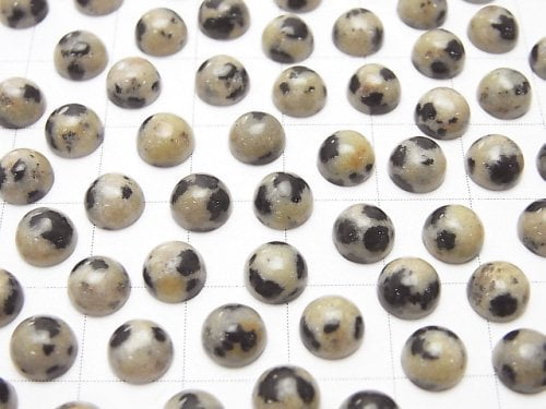 Dalmatian Jasper Round Cabochon 6x6mm 5pcs