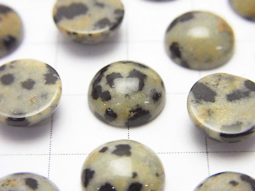 Dalmatian Jasper Round Cabochon 10x10mm 5pcs $3.79!