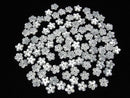 [Video] High Quality White Shell AAA Flower [6mm] [8mm] [10mm] [12mm] [14mm] Central Hole 3pcs $2.79