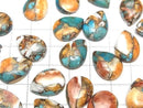 [Video] Oyster Copper Turquoise Pear shape Cabochon 18x13mm 2pcs