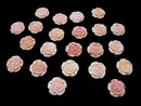 [Video] Queen Conch Shell AAA Rose 15mm [3 holes] 1pc $3.79!