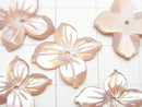 [Video] High Quality Pink Shell AAA Flower 16mm Center Hole 2pcs