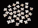 [Video] High Quality Pink Shell AAA Flower 16mm Center Hole 2pcs