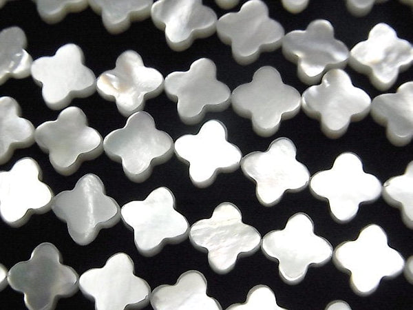 [Video] High quality white shell (Silver-lip Oyster) AAA flower motif 8x8mm 1/4 or 1strand beads (aprx.15inch/38cm)