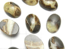 [Video] Septarian Oval Cabochon 14x10mm 3pcs