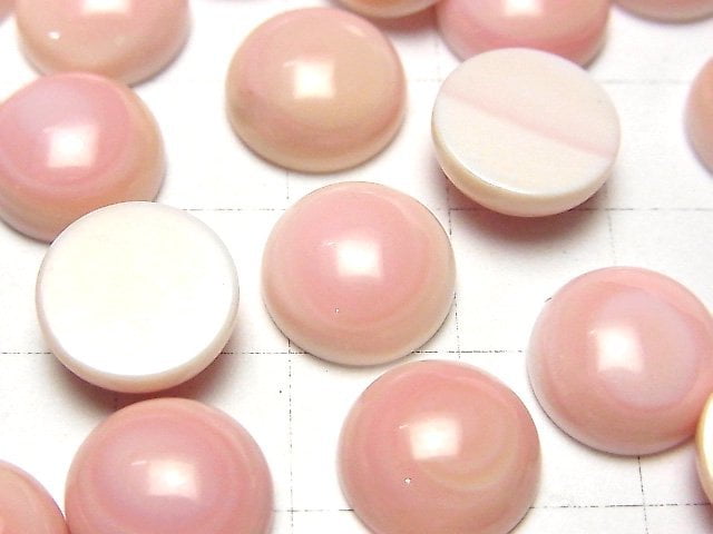 [Video] Queen Conch Shell AAA Round Cabochon 12x12x5mm 3pcs $8.79!