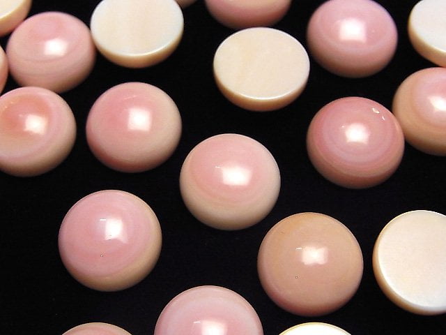 [Video] Queen Conch Shell AAA Round Cabochon 12x12x5mm 3pcs $8.79!