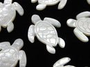 High quality white shell AAA turtle shape 25x20x2.5mm 1pc