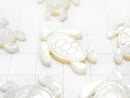 High quality white shell AAA turtle shape 25x20x2.5mm 1pc