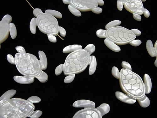 High quality white shell AAA turtle shape 25x20x2.5mm 1pc