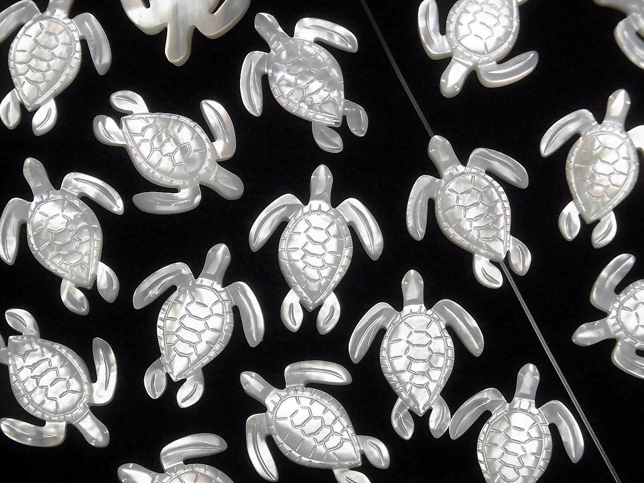 Coquillage blanc de haute qualité, forme tortue AAA 25x20x2,5mm 1 pièce