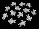 High quality white shell AAA turtle shape 25x20x2.5mm 1pc