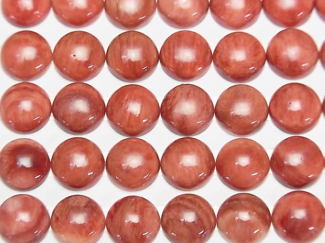 [Video] Spiny Oyster Shell Round Cabochon 10x10mm 1pc