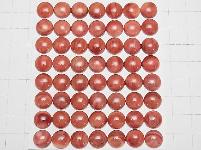 [Video] Spiny Oyster Shell Round Cabochon 10x10mm 1pc