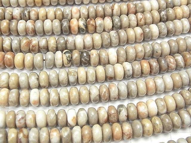 [Video] Fossil Coral  Roundel 8x8x4mm half or 1strand beads (aprx.15inch/38cm)
