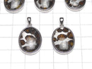 Kenya Sericho Pallasite Meteorite Oval Pendant 22x17mm Silver925