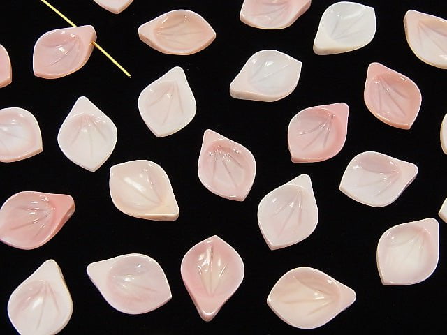 [Video] Queen Conch Shell AAA Flower 14x10mm 1pc $1.99!