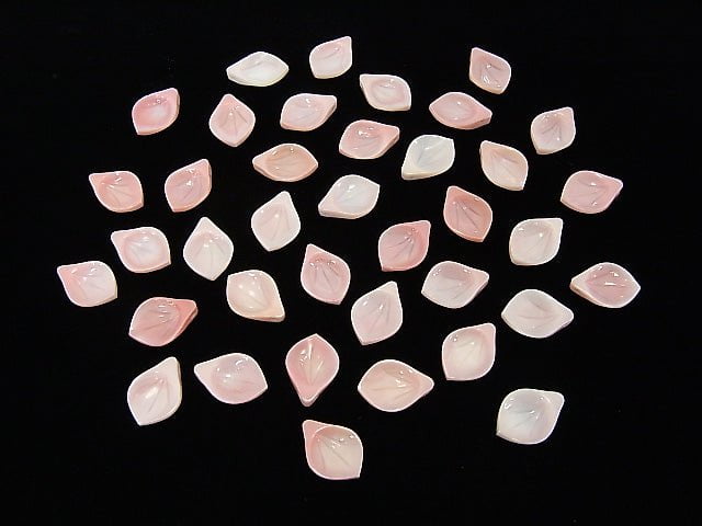 [Video] Queen Conch Shell AAA Flower 14x10mm 1pc $1.99!