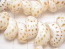1strand $3.79! Moon Shell White x Brown 1strand beads (aprx.15inch / 38cm)