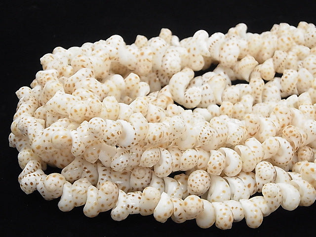 1strand $3.79! Moon Shell White x Brown 1strand beads (aprx.15inch / 38cm)