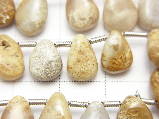 1strand $13.99Fossil Coral  Pear shape (Smooth)  1strand beads (aprx.7inch/18cm)