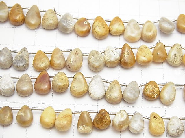 1strand $13.99Fossil Coral  Pear shape (Smooth)  1strand beads (aprx.7inch/18cm)