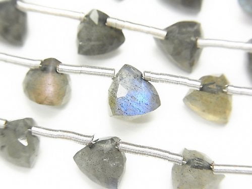 Labradorite, Triangle Gemstone Beads