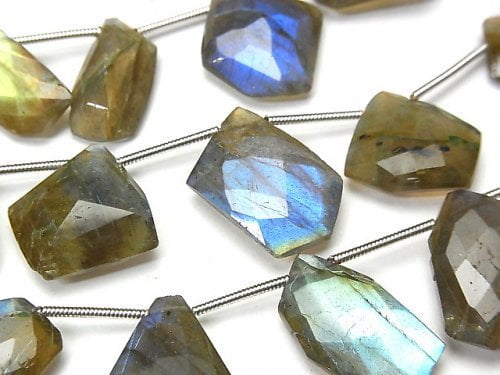 Free Form, Labradorite Gemstone Beads