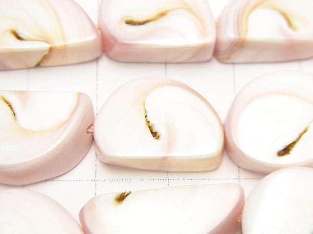 [Video] Queen Conch Shell Slice half or 1strand beads (aprx.15inch/38cm)
