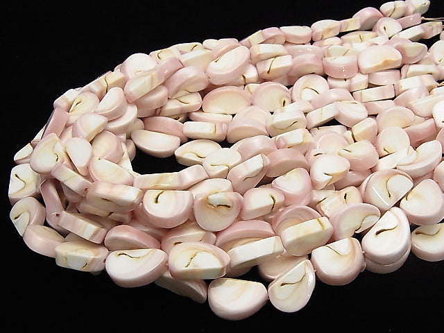 Queen Conch Shell Slice half or 1strand beads (aprx.15inch/38cm)