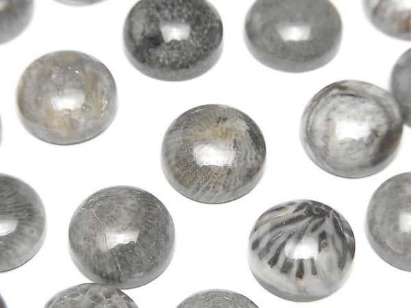 [Video] Moroccan Black Fossil Coral Round Cabochon 12x12mm 2pcs