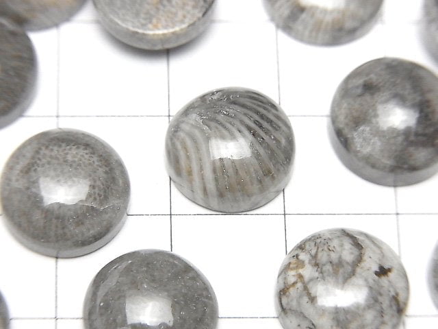 [Video] Morocco Black Fossil Coral Round Cabochon 12x12mm 3pcs $7.79!