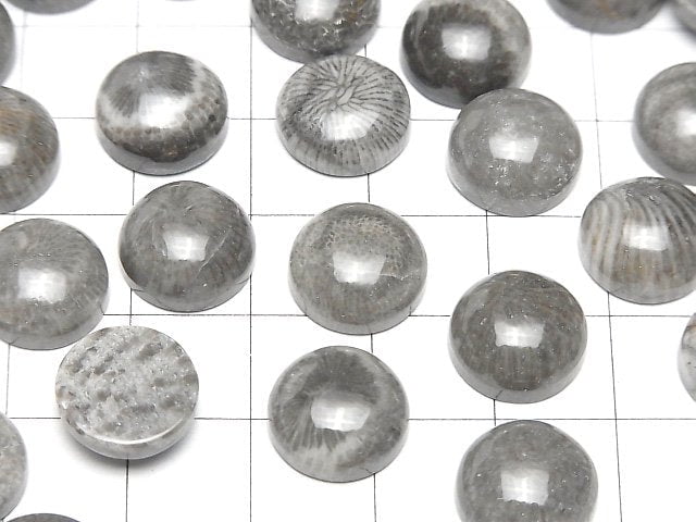 [Video] Morocco Black Fossil Coral Round Cabochon 12x12mm 3pcs $7.79!