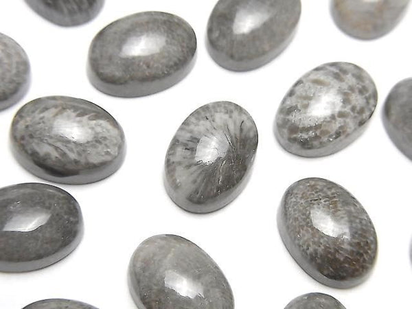 [Video] Moroccan Black Fossil Coral Oval Cabochon 14x10mm 2pcs
