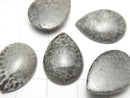 [Video] Morocco Black Fossil Coral Pear shape Cabochon 18x13mm 2pcs $8.79!