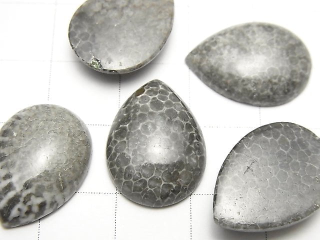 [Video] Morocco Black Fossil Coral Pear shape Cabochon 18x13mm 2pcs $8.79!