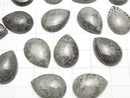 [Video] Morocco Black Fossil Coral Pear shape Cabochon 18x13mm 2pcs $8.79!