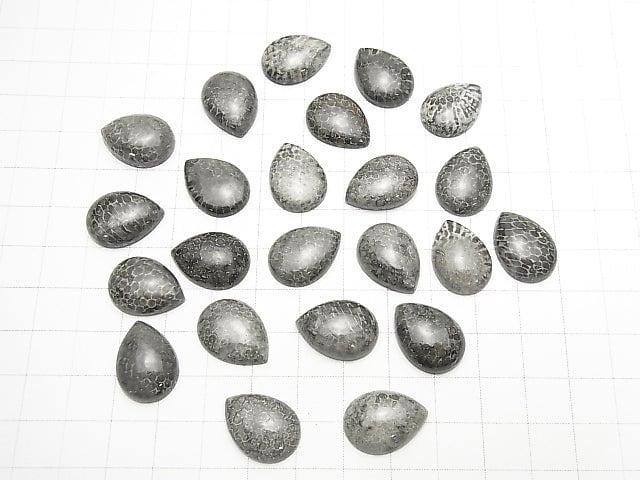 [Video] Morocco Black Fossil Coral Pear shape Cabochon 18x13mm 2pcs $8.79!
