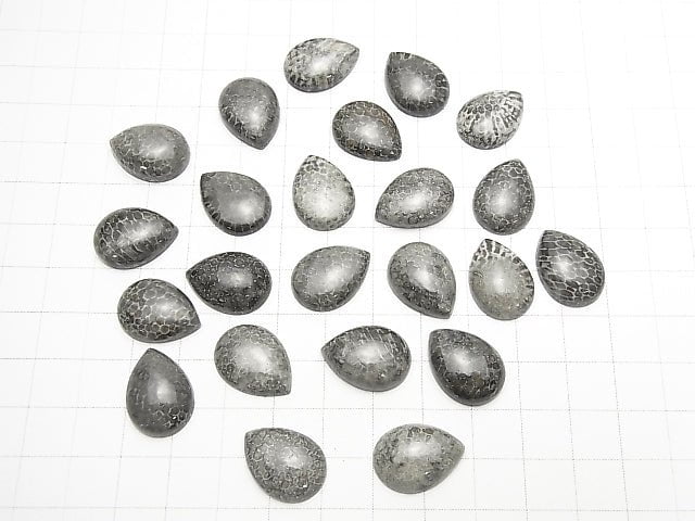 [Video] Morocco Black Fossil Coral Pear shape Cabochon 18x13mm 2pcs $8.79!