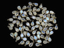 [Video] High Quality Rainbow Moonstone AA++ Bezel Setting Pear shape Faceted 9x6mm 18KGP 2pcs $7.79!