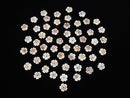 [Video] High Quality Pink Shell AAA Flower 8mm Center Hole 3pcs