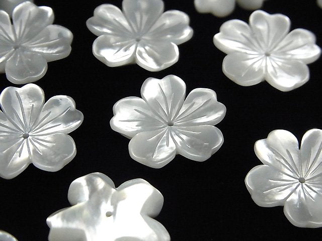 High Quality White Shell AAA Flower 19mm Center Hole 1pc