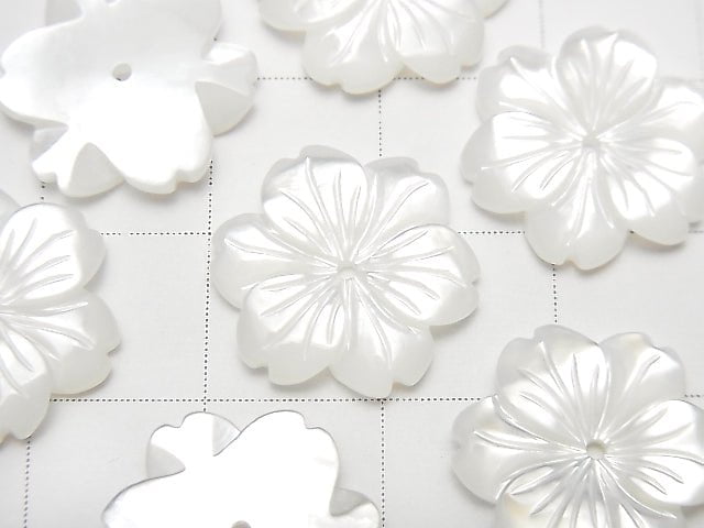 [Video] High Quality White Shell AAA Flower 15mm Center Hole 2pcs