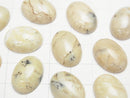 [Video] African Opal Oval Cabochon 18x13mm 1pc